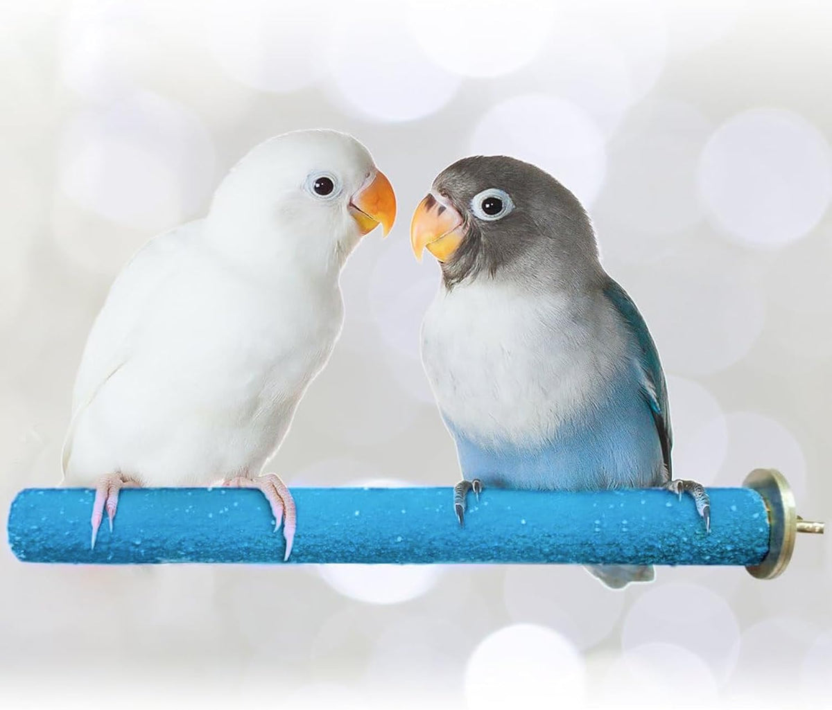 SunGrow Wooden Bird Perch, Quartz Sand Covered - image 2