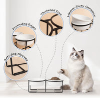 Ceramic Elevated Dog Bowls with Stand - Matte White / S × 2 - image 4