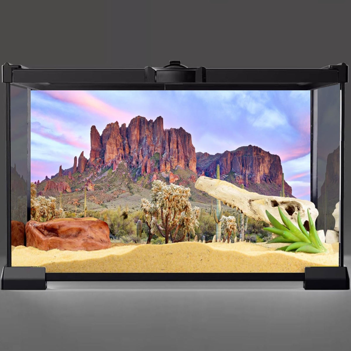 AWERT 36x18 in Desert Cactus Terrarium Backdrop Reptile Habitat - 36x18in/90x45cm - image 2