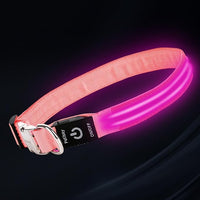 LED Dog Collar with Metal Buckle - USB Rechargeable Glow Collar for Dogs, Waterproof Light Up Dog Collar w/Reflective Strips - Adjustable Night Safety Collars by PetIsay(Pink,Large)
