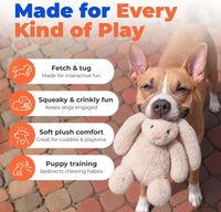 Best Pet Supplies Bunny Buddy Squeaky Plush Dog Toy, Beige - Bunny (Beige) / Large - image 4