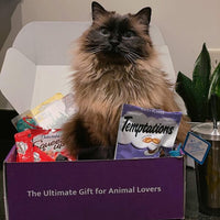 Purfect Cat Gift Box - BIG FRENCHIES