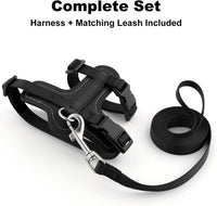 Plutus Pet Adjustable Cat Harness and Leash Set - Black - image 2