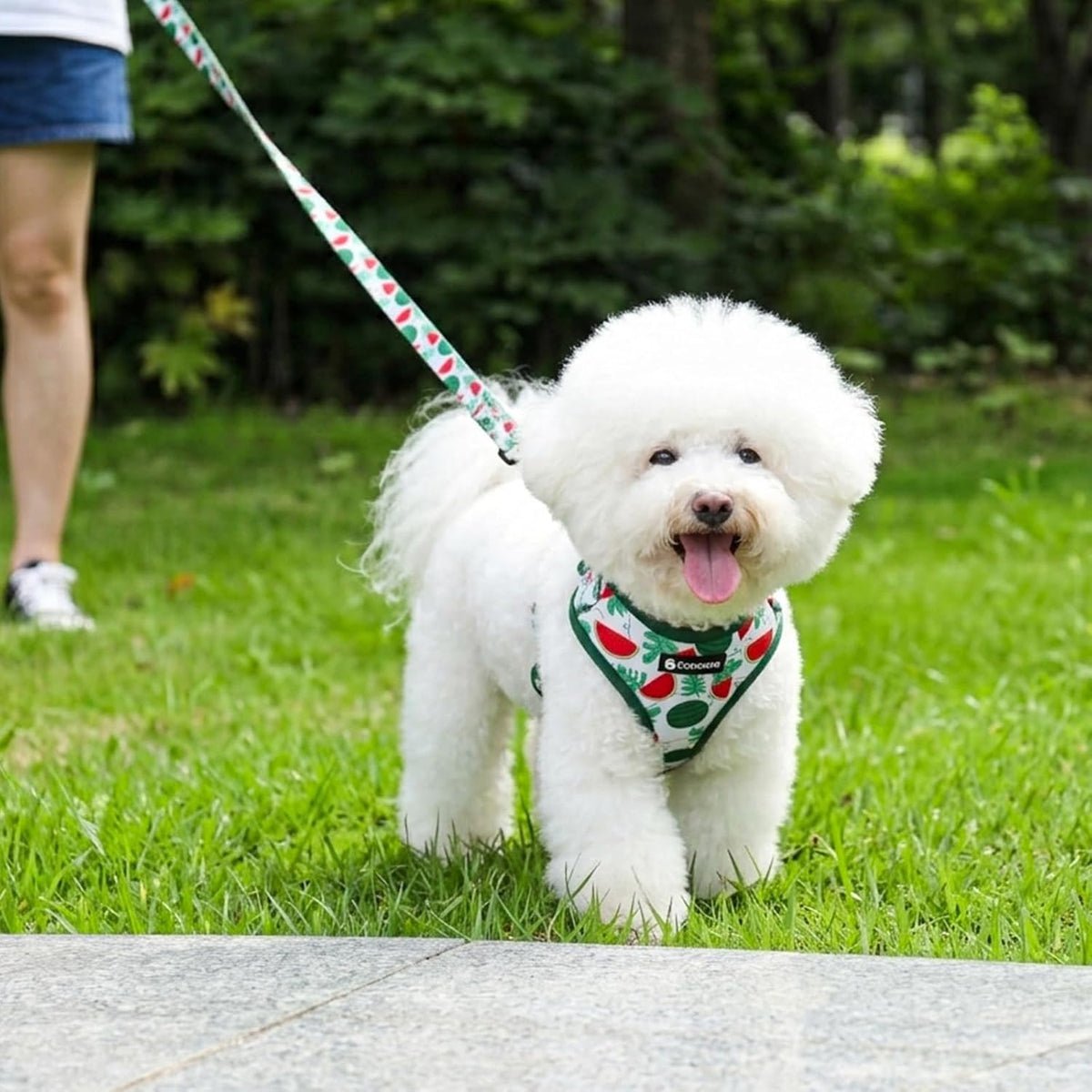 Dog Harness and Leash Set, Adjustable Dog Harness, Dog Leash - Green Watermelon / L(Chest 18.5 - 27.1", Neck 14.5 - 20.1") - image 4
