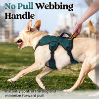 rabbitgoo Escape Proof Dog Harness for Large - Dark Green / Large - image 2
