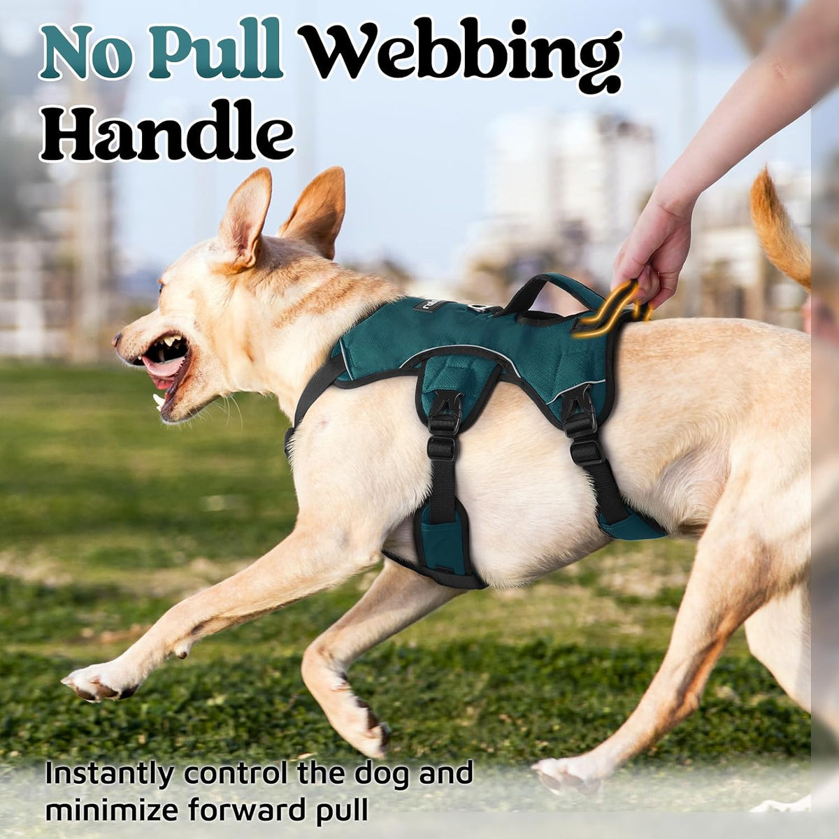 rabbitgoo Escape Proof Dog Harness for Large - Dark Green / Large - image 2