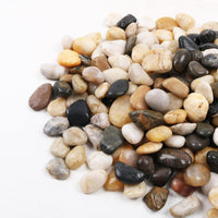 45lb White Rocks for Plants, Potting - 1.8LB / Colour