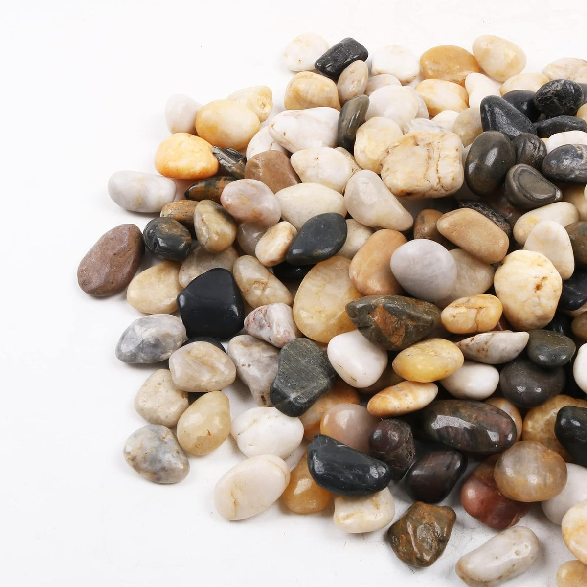 45lb White Rocks for Plants, Potting - 1.8LB / Colour