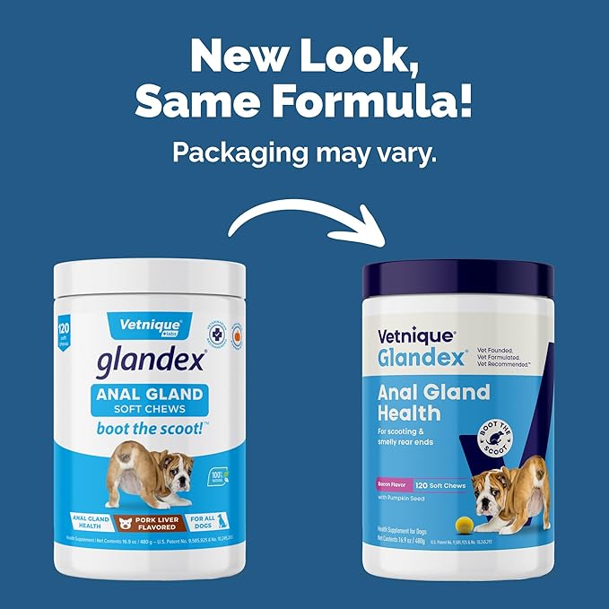 Vetnique Labs Glandex Anal Gland Soft Chew Treats with Pumpkin for Dogs Digestive Enzymes, Probiotics Fiber Supplement for Dogs Boot The Scoot (Bacon/Pork Chews, 120 Count)