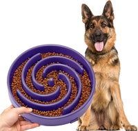 JASGOOD Slow Feeder Dogs Bowl for Large Medium Dogs - Large / N-Taro purple