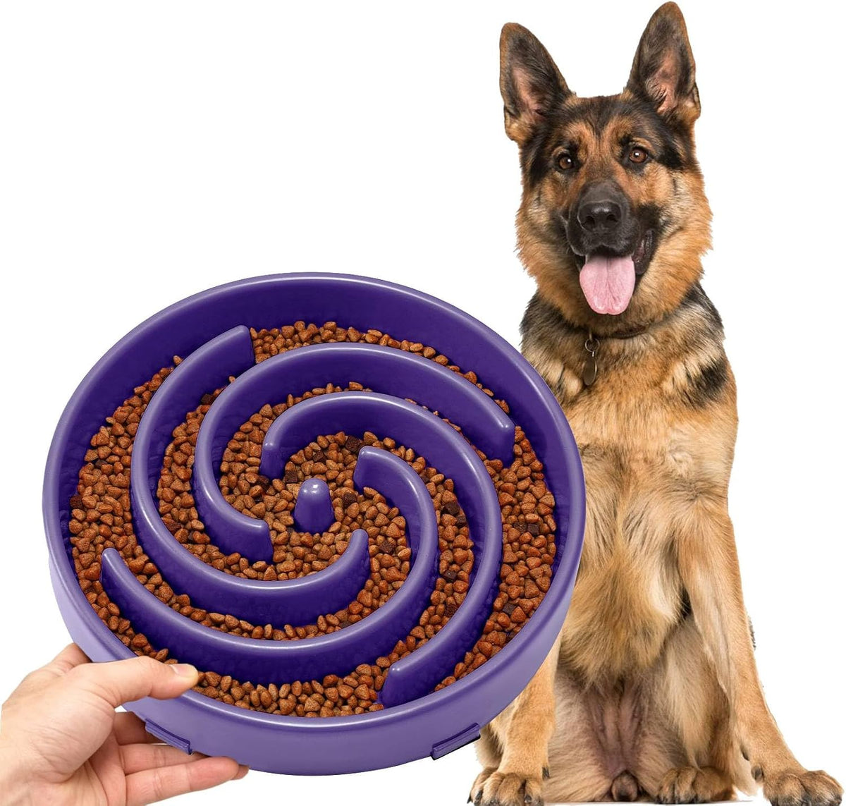 JASGOOD Slow Feeder Dogs Bowl for Large Medium Dogs - Large / N-Taro purple