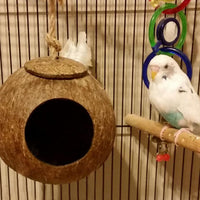 Parakeet Nesting Box Transparent Bird House Bird Nest Box for Cage - Coconut shell / [M:9.8 x 5.1 x 5.1 lnches] - image 4