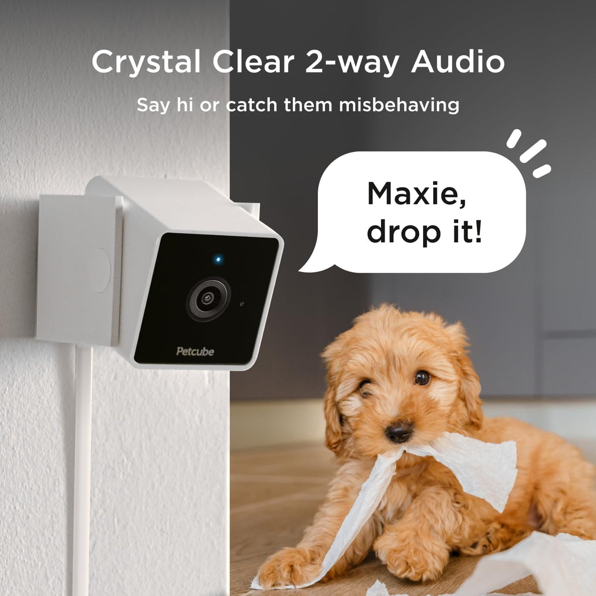 Petcube GPS Tracker for Dogs - Cam (Subscription Required) - image 2
