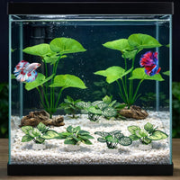 2-Pack Aquarium Decor Fish Tank Decorations 6-inch Betta Fish Tank - C（green 10 Pack） - image 2