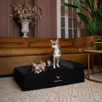 Large Dog Bed Orthopedic Memory Foam Cooling Gel 35x25x8.7 in – Essentials for Dogs - Black - DE / Medium - image 3
