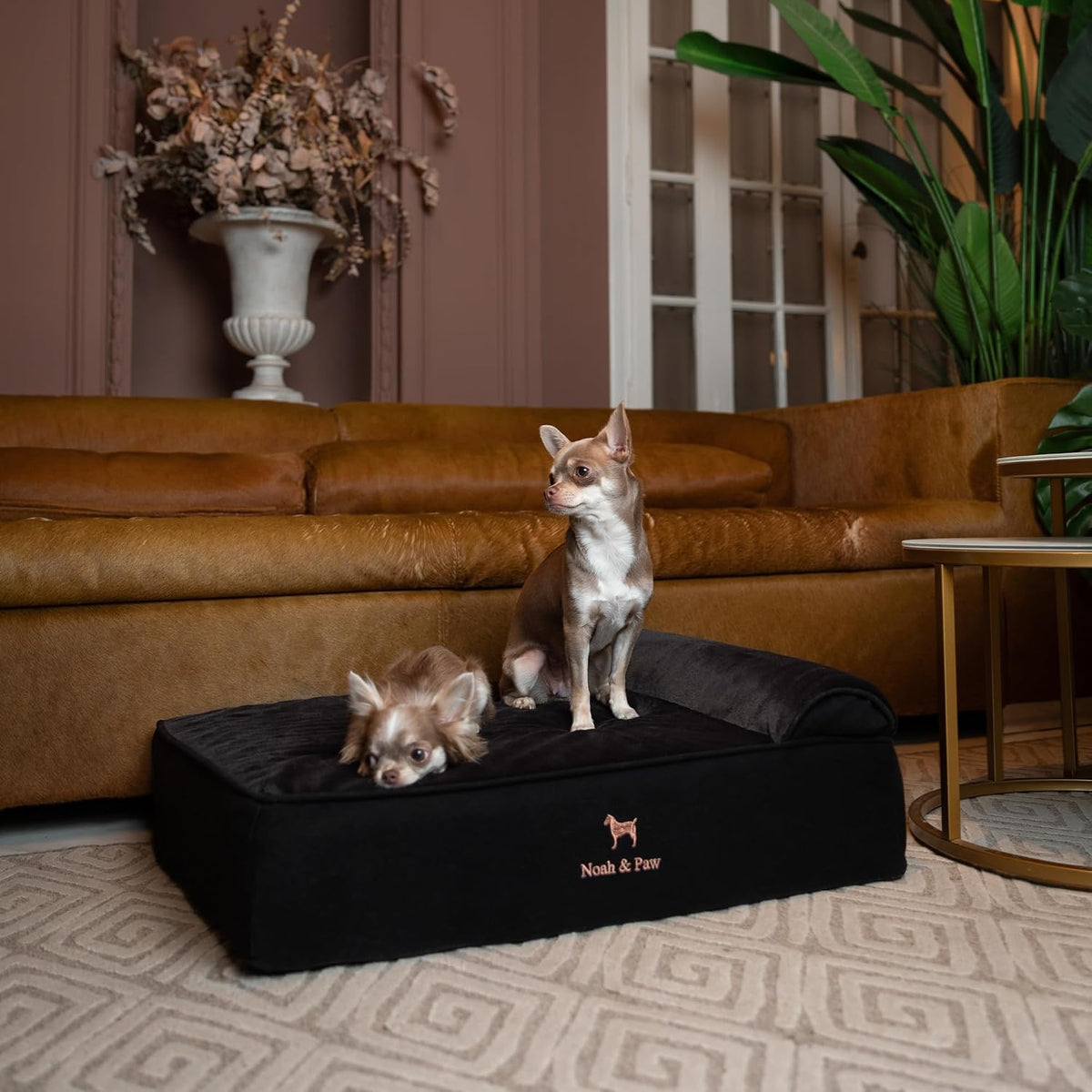 Large Dog Bed Orthopedic Memory Foam Cooling Gel 35x25x8.7 in – Essentials for Dogs - Black - DE / Medium - image 3