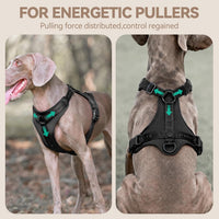 Sunraymascota Dog Harness - L (Neck: 18-31", Chest: 24-37") / Black - image 2
