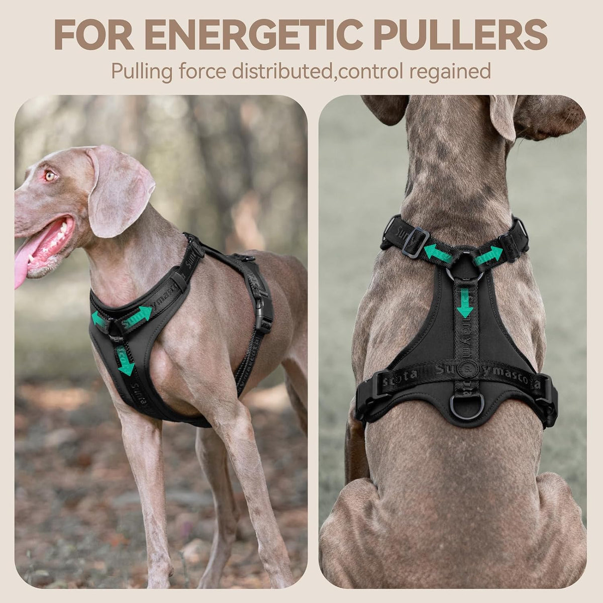 Sunraymascota Dog Harness - L (Neck: 18-31", Chest: 24-37") / Black - image 2