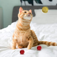 AUEAR, 24 Pack 2 Inch Extra Large Sparkle Cat Ball Glitter Tinsel Pom Pom Balls for Kittens (4 Assorsted Colors)