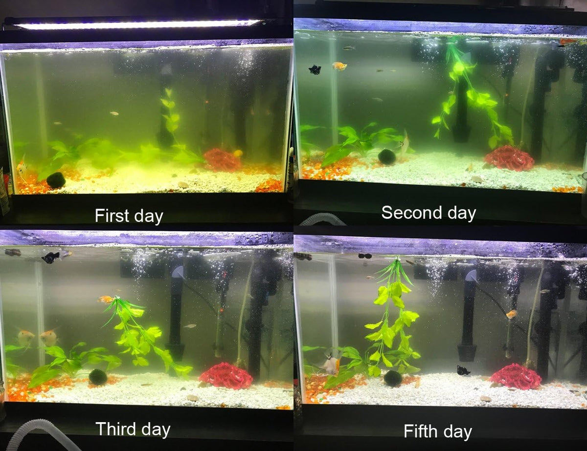 Internal Green Water Killer Aquarium Filter Tank U-V Pump – Essentials for Fish - image 2