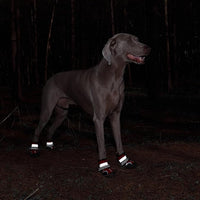 Dog Shoes Winter Snow Boots for Large Size Medium Dogs Reflective Anti-Slip Paw Protectors for Rain Booties Hot Pavement Hardwood Floors Running Water-Resistant Dog Shoes(Red, 2# (2XS))