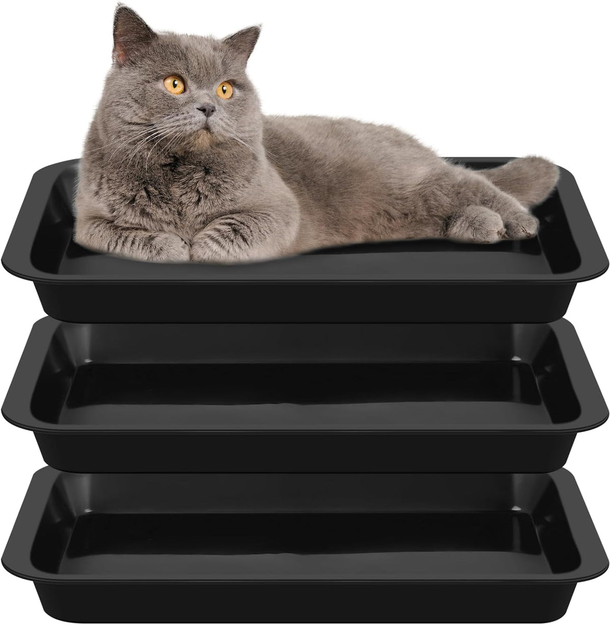 Tessco 3 black plastic kitten litter pans, 15.1 by 12 inches, low entry