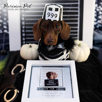 Parisian Pet Dog Shirt - Prisoner Dog Costume - 100% Cotton Black and White Strips Dog Clothes - Lightweight Polyester Dog Shirts - Sleeved Dog Costume for Medium Dogs - Pet Costumes - L