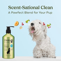 PAWFUME Deshedding Dog Shampoo and Conditioner, Show Dog - Shampoo & Conditioner Blue Ribbon / Pack of 4 - image 4