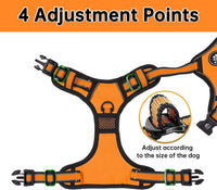 NESTROAD Dog Harness for Medium Sized Dog - Orange / Small - image 2