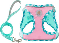 Hipubby Dog Harness Small Sized and Leash Set - Pink Green / XXS (Chest: 11"-12.5")