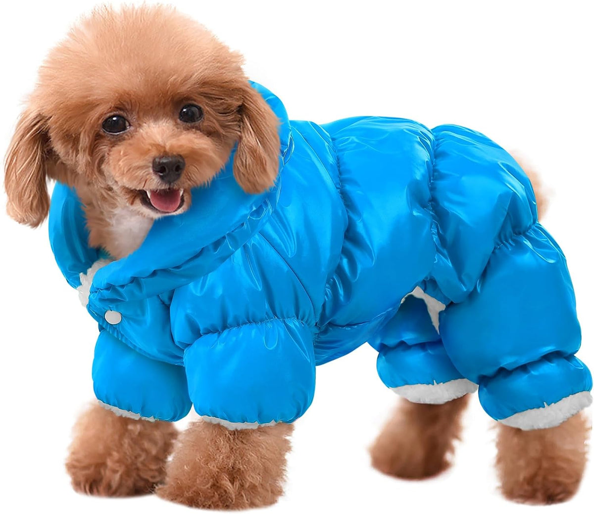 Dog Coat Waterproof Dog Jacket Fullbody Dogs Winter Coat Snowsuit – Essentials for Dogs - Lake Blue / Medium