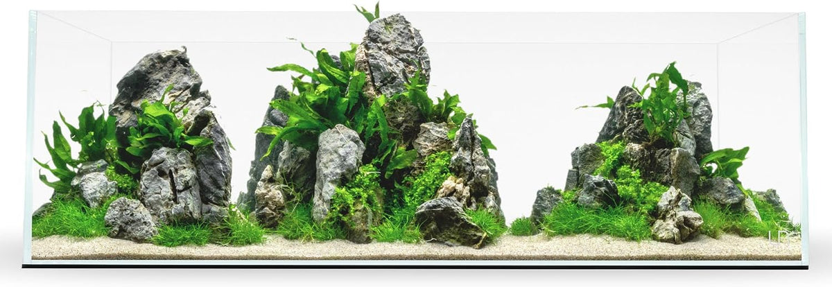 UNS Ultra Clear Rimless Tank, 35.43x7.87x9.84 - Long / [45L] - 3.4 Gal - 17.71 x 6.69 x 6.69 in