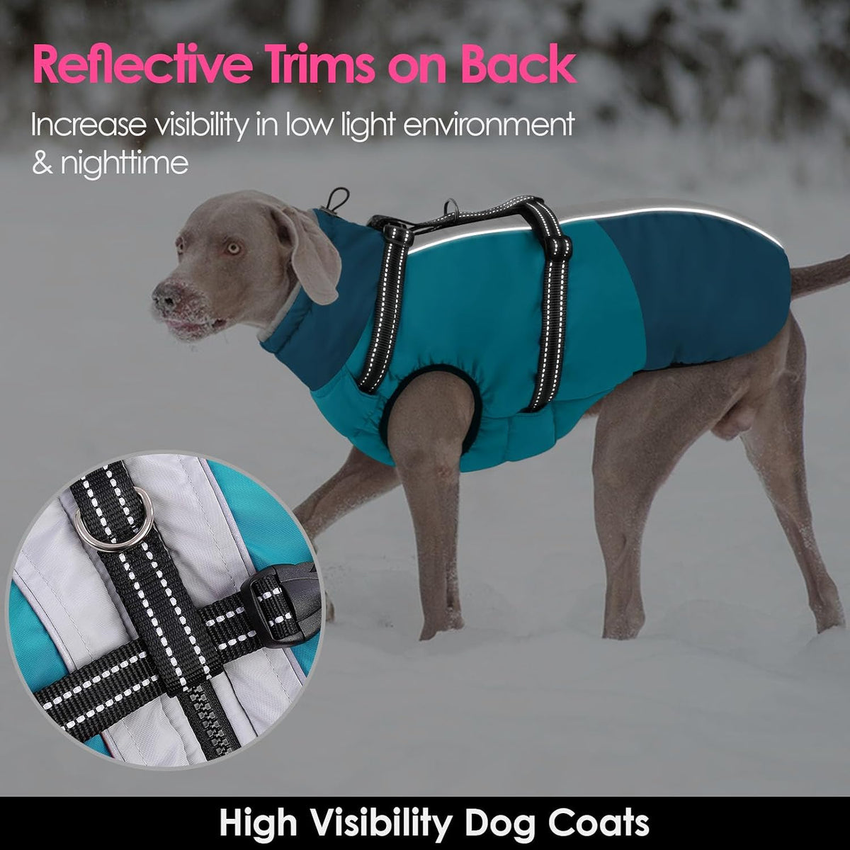 Large Dog Coat Waterproof Dog Winter Jacket with Harness TurquoiseL – Essentials for Dogs - PineGreen / Large - image 2