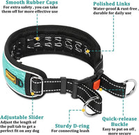 Mayerzon cyan martingale no pull dog collar, size M, with reflective threads - view 2