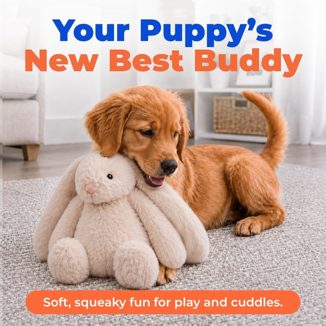 Best Pet Supplies Bunny Buddy Squeaky Plush Dog Toy, Beige - Bunny (Beige) / Large - image 2