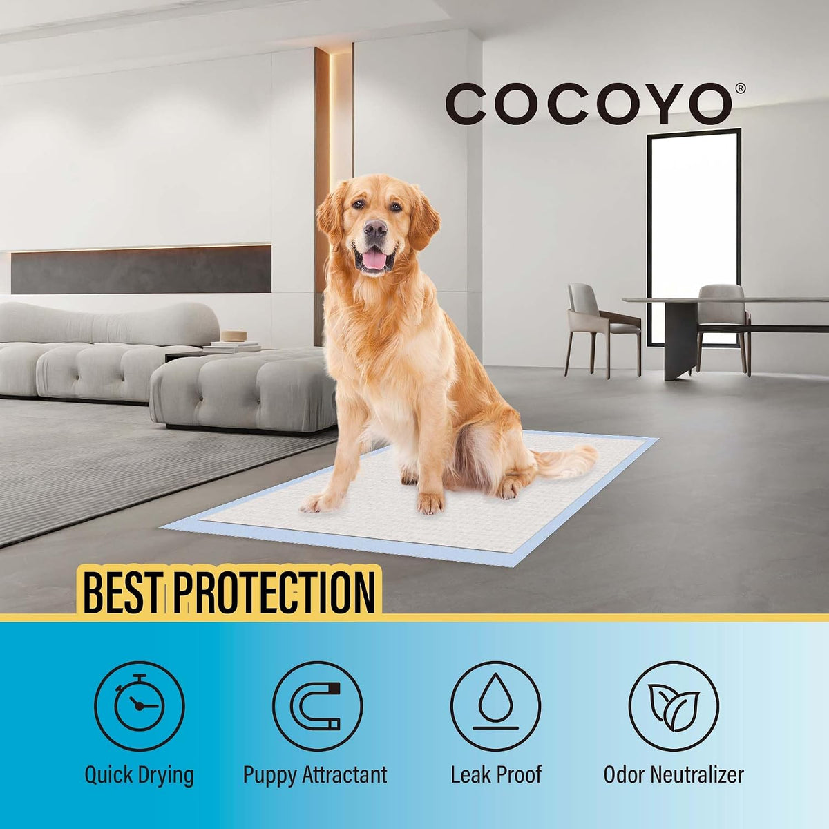 COCOYO Best Value Training Pads 30 Count, Dog Pee Pads - 30 / 22" x 22" Regular - image 3