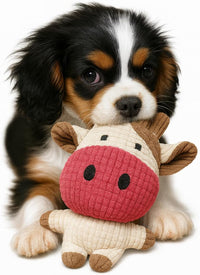 Jalousie 12 Pack Plush Animal Dog Toy - 30 PCs Gift Basket - image 3
