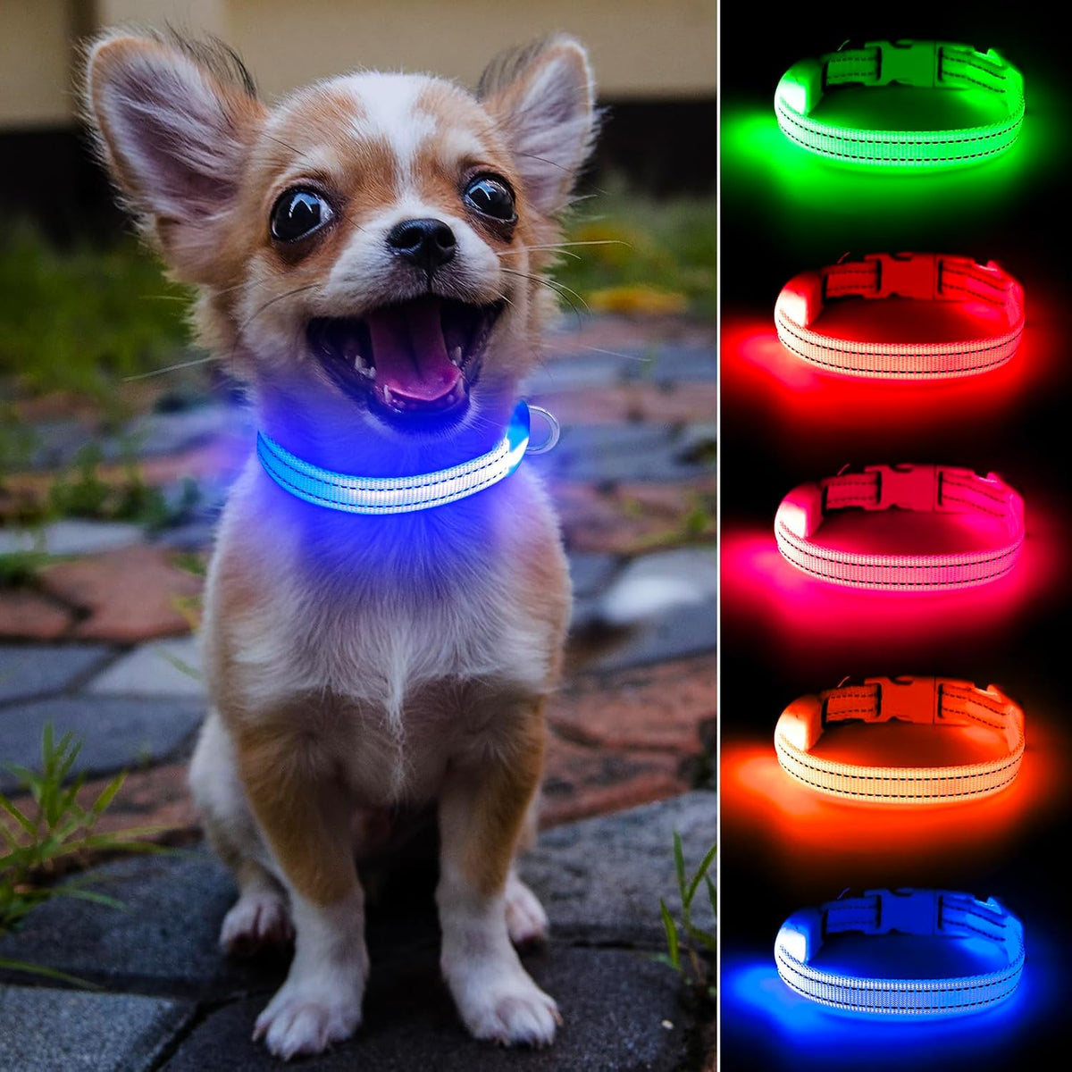 Light Up Collar for Small Dogs& Cats - XS (9.45-14inch / 24-35.5cm) / Blue