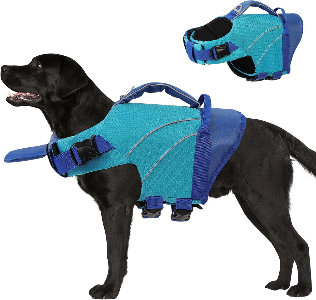 Queenmore Dog Life Jacket with Front Float - X-Large / Blue
