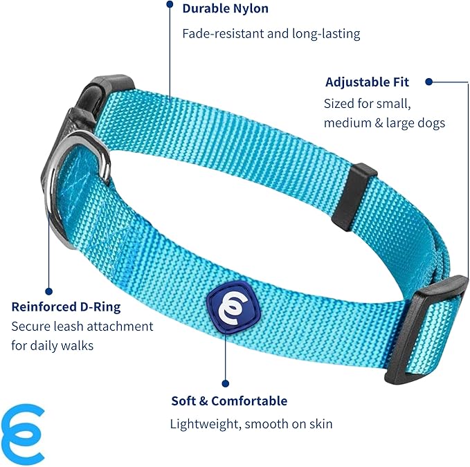 Blueberry Pet Essentials X-Small Dog Collar in Turquoise | Adjustable & Eco-Friendly Durable Nylon Strap | Classic Collar for X-Small Dogs, Boy & Girl Pets