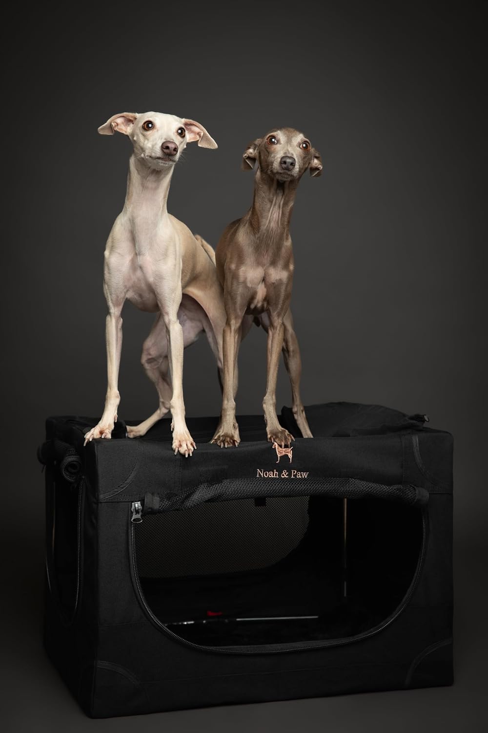 Noah & Paw XXL Collapsible Dog Crate, 42" - Black / 24.0"L x 17.0"W x 17.0"H - image 4