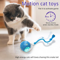 Giociv Interactive Cat Toys Ball for Indoor Cats Fast Rolling on - image 3
