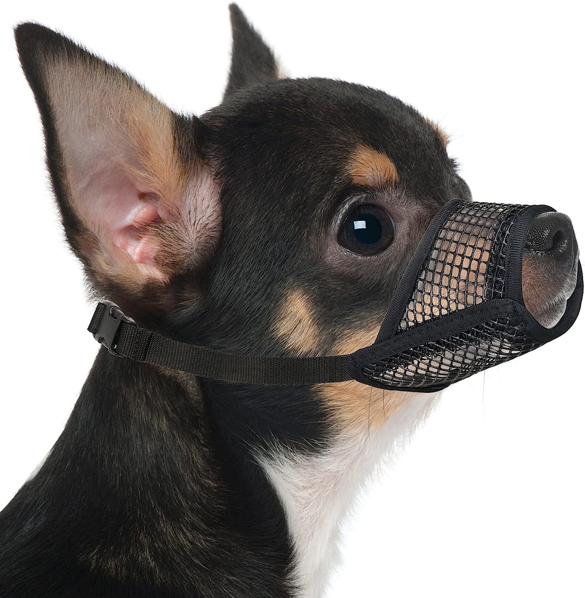Dog Muzzle, Soft Mesh Muzzles for Small Dogs Biting, XXS - Black / XS-Snout (5¼”-6”)