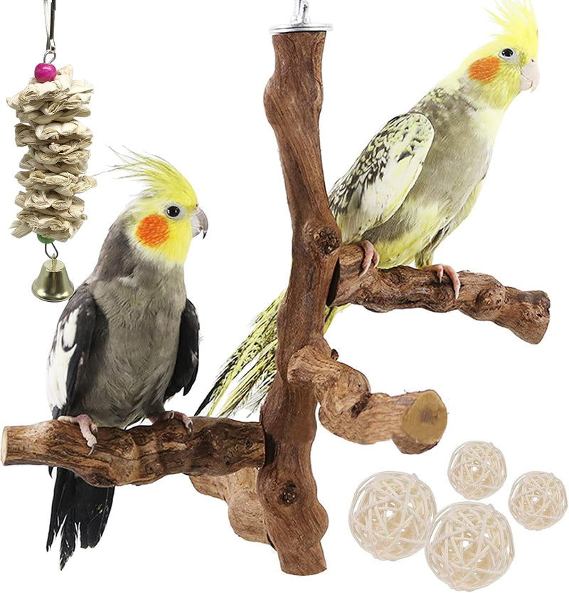 4PCS Bird Perch Natural Grape Stick Bird Standing Stick Grapevine – Essentials for Birds - Style 8