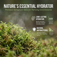 Sukh Sphagnum Moss for Reptiles, Green Terrarium Moss Substrate - 11.2 Ounces / Green - image 4