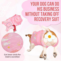 Lukovee Recovery Suit for Dogs, Zipper-On Onesie for Female Male Dog, Abdominal Wounds Cone E-Collar Alternative, Prevent Licking Spay (3XL, A-Pink)