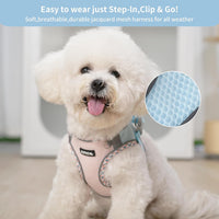 Breathable Dog Harness Small Sized and Leash Set - Blue-Pink / XXS(Chest: 10 - 11.5") - image 3