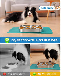 Slow Feeder Dog Bowls with Non-Slip Mat - 2.5 Cup Single Pack - image 3