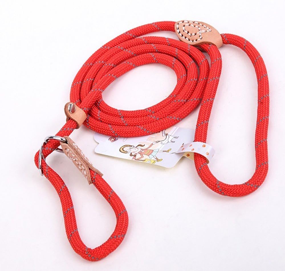 Dog Rope Leash, Dog Training Leash for 10-80 lb - Red 2