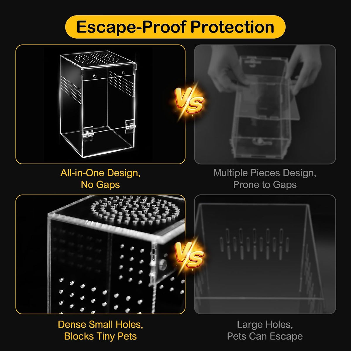 Jumping Spider Enclosure Starter Kit - Blue / Large - image 3